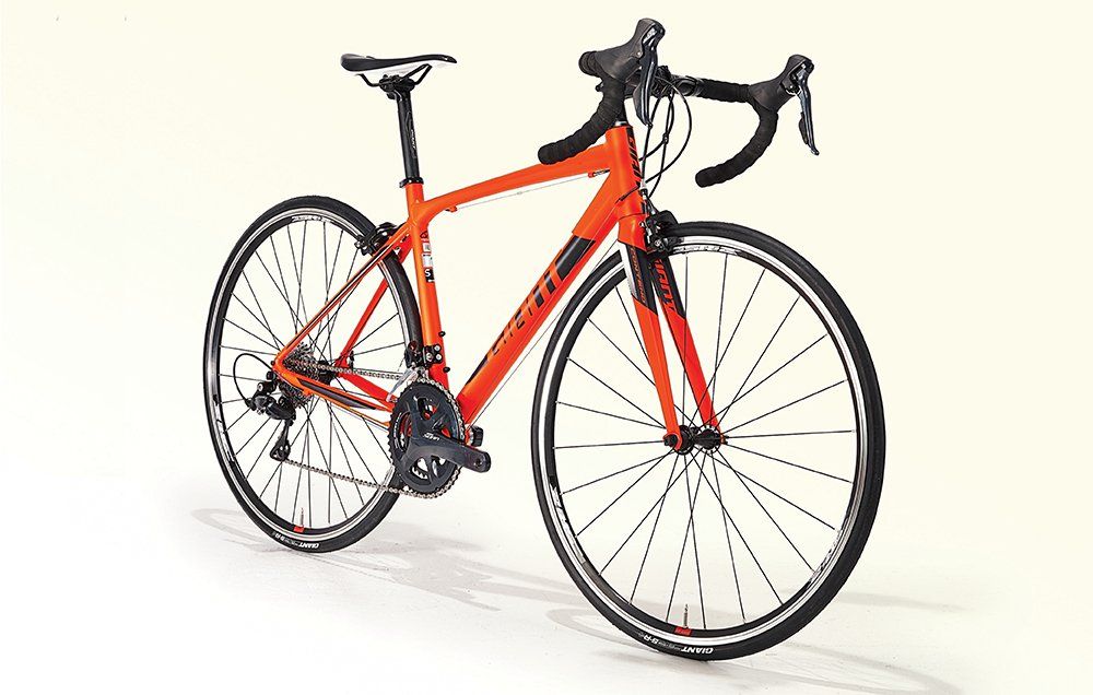 2018 giant contend 1