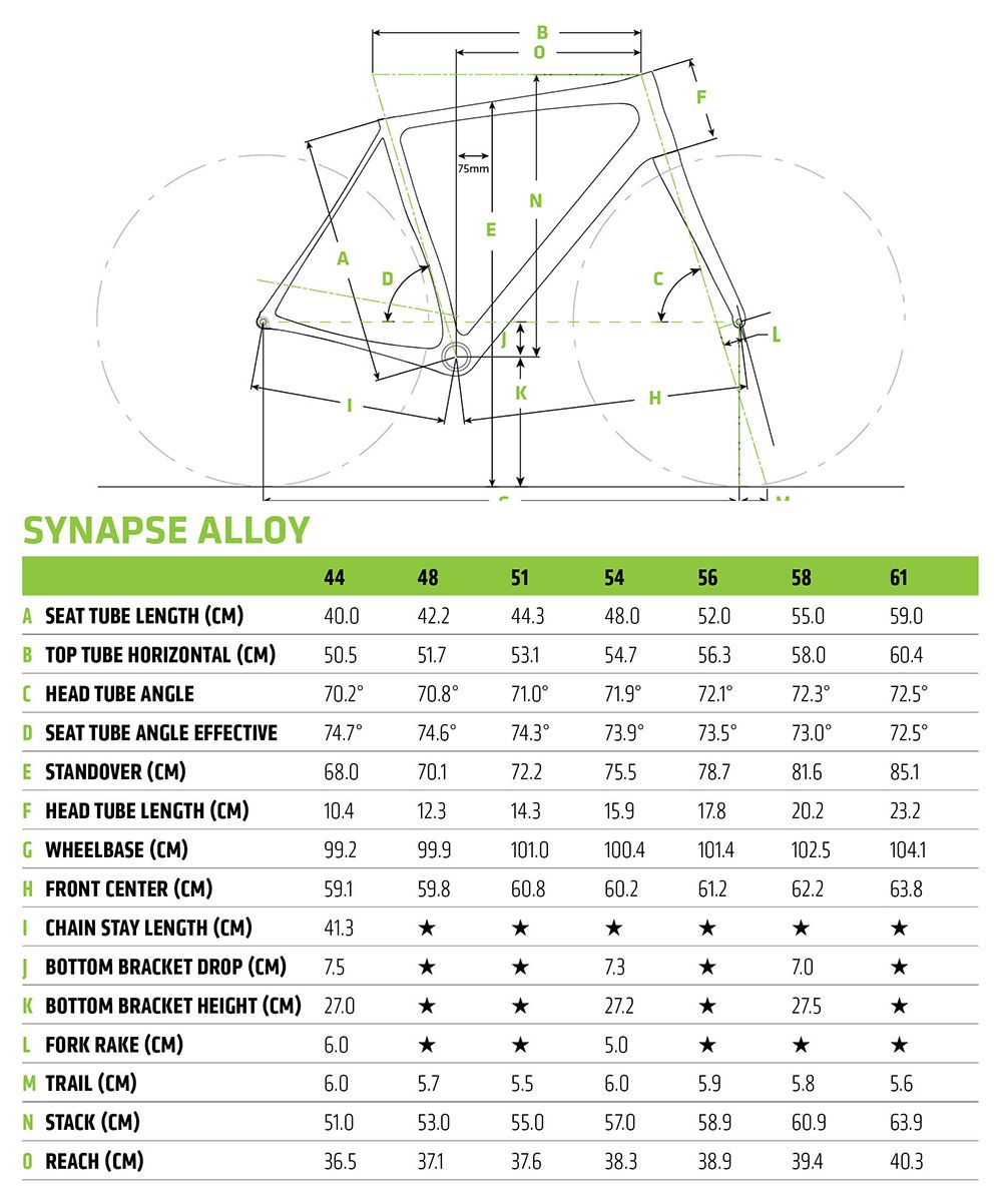 cannondale synapse size chart height