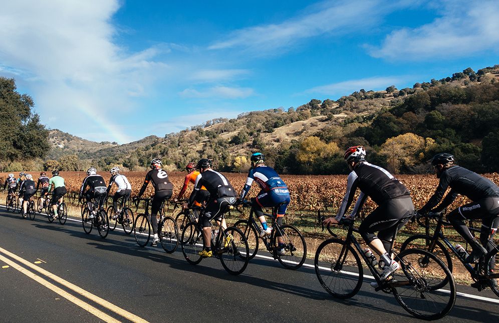 cervelo endurance bike