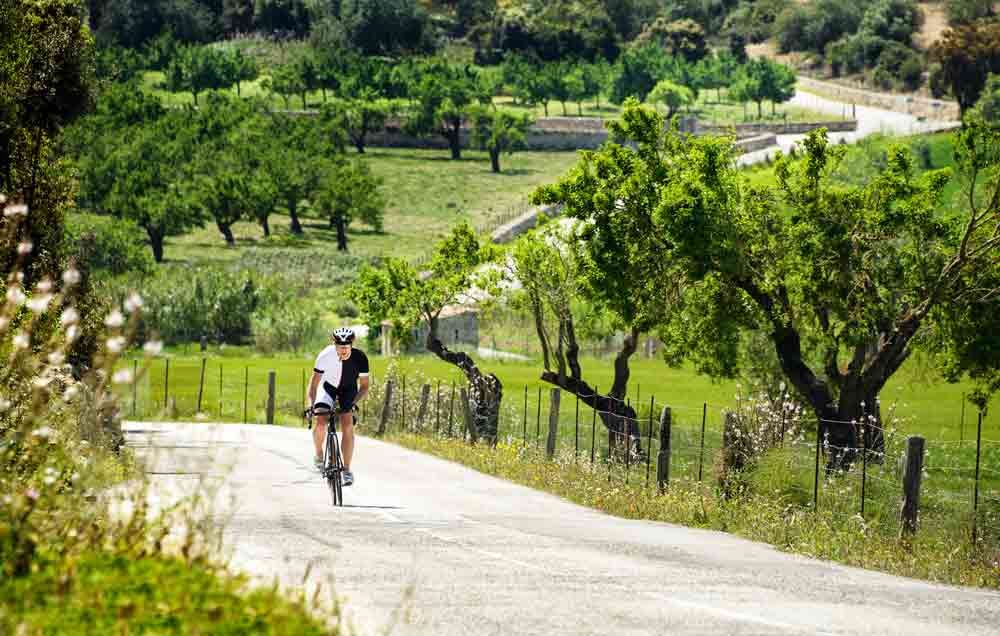 century rides near me