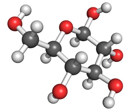 Everything You Need to Know About Glycogen
