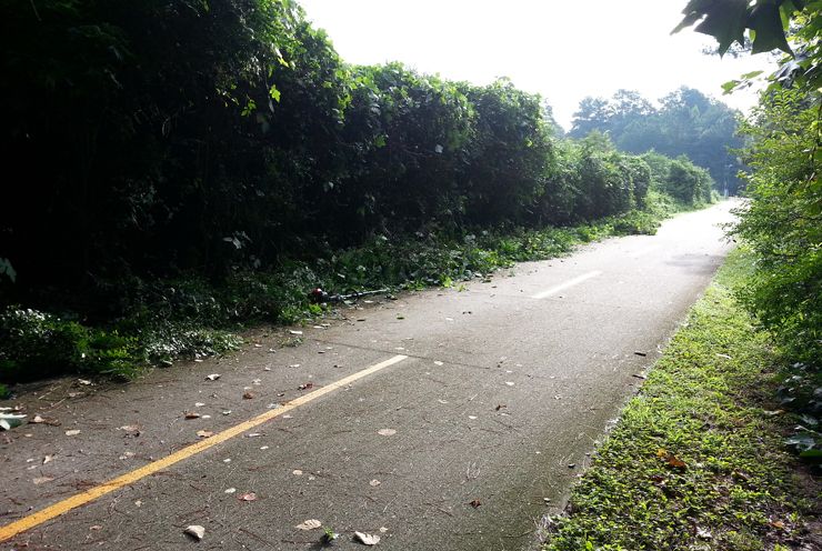 long paved bike trails near me