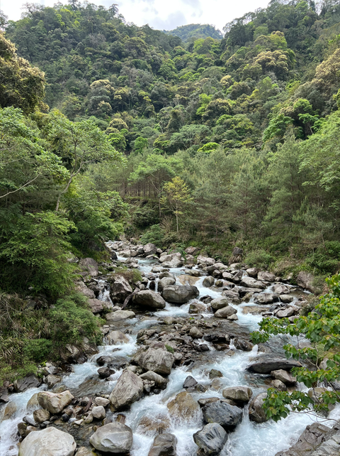 全台14座國家森林遊樂區推薦!走訪台灣最美後花園、絕美夜觀仙境,來場大自然治癒之旅