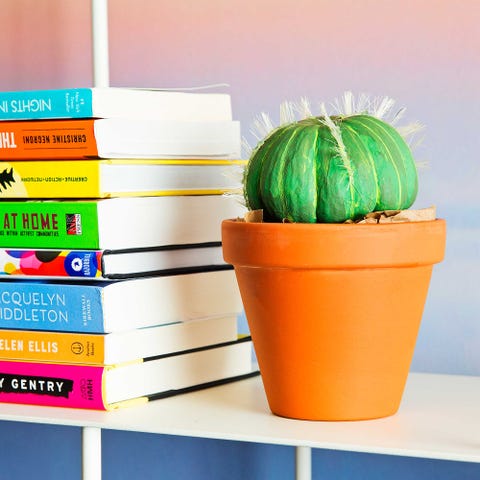 Cactus pumpkin Cactus pumpkin
