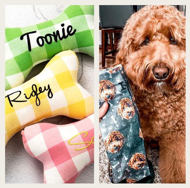best gifts for dog lovers 2021