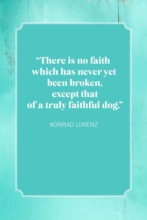 Konrad Lorenz Dog Quote 40 Best Dog Mom Quotes - Quotes About Being A Dog Mom