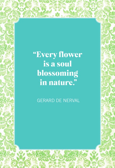 45 Inspirational Flower Quotes - Best Quotes About Flowers