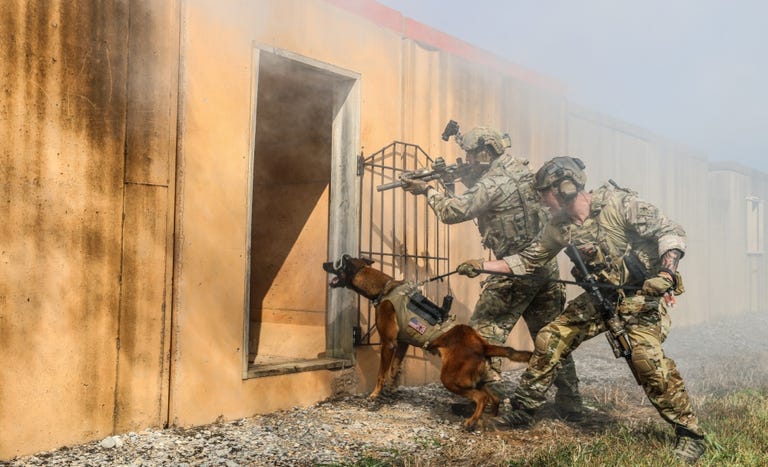 US Army AR Dog Goggles | Gafas de realidad aumentada para perros militares Las gafas de realidad aumentada para perros del ejército de EE. UU. Posiblemente eliminarían esa amenaza.