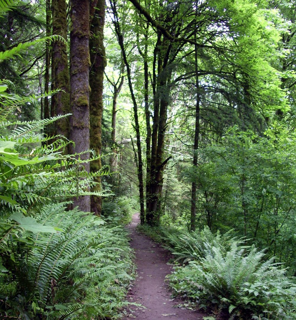 best trails for running near me