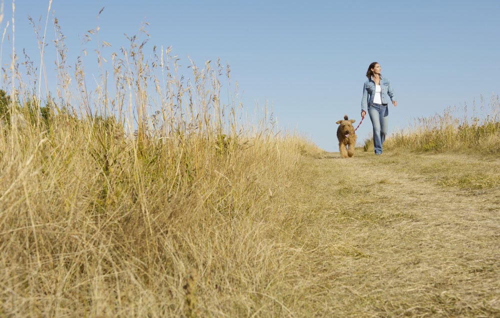 Do Runners Need to Take 10,000 Steps Each Day?