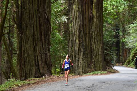 Road, Recreation, Endurance sports, Running, Asphalt, Exercise, Outdoor recreation, Trail, Forest, Woody plant, 