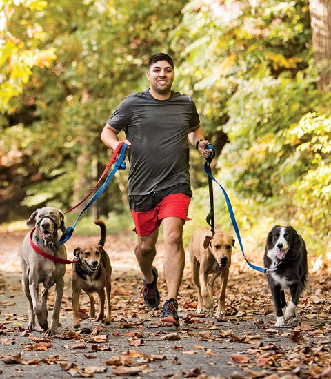 running with dogs as a full time job runner s world