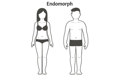 endomorph weight loss