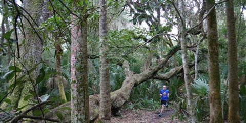 Man Running Through a Florida Forest