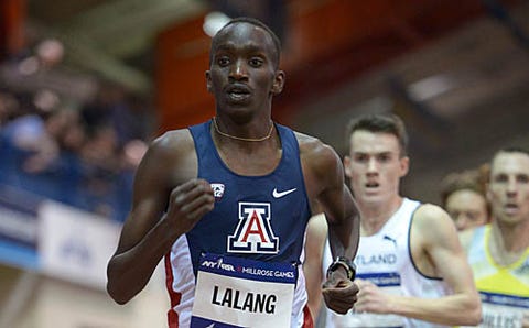 Indoor Ncaa Championships Preview Lawi Lalang Will Attempt Indoor Ncaa Championships Preview Lawi Lalang Will Attempt