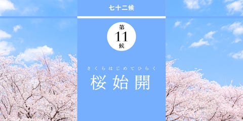 今日の暦をお知らせします 和の暦 春分 さくらはじめてひらく 弥生3月25日 桜の季節 到来です