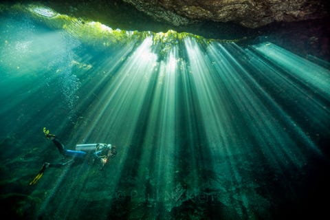 Conservation Photographer Cristina Mittermeier - How I Became a Photographer for National Geographic
