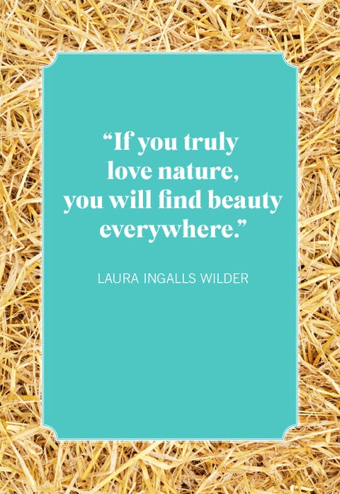 30 Best Nature Quotes - Short Sayings About Natural Beauty