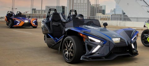 Polaris polaris