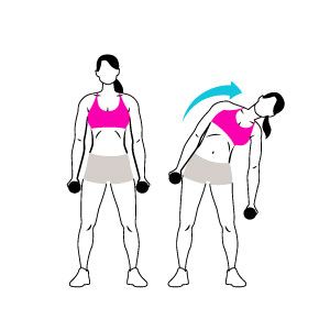 Standing Dumbbell / Kettlebell Side Bends – WorkoutLabs Exercise Guide