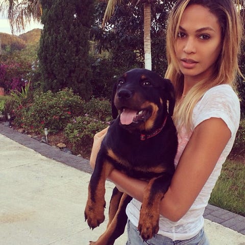 Celebrities Posing With Their Adorable Furry Pets