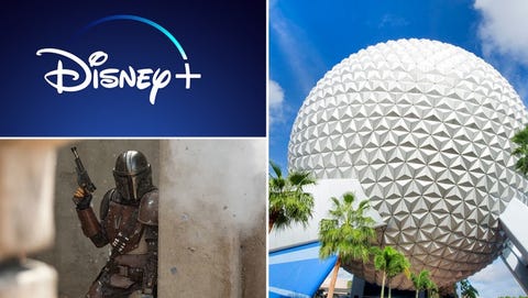 D23