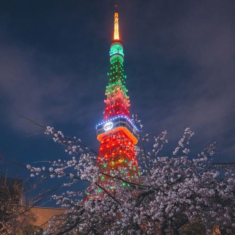 東京タワーに桜咲く グッチ 東京タワーのお花見プロジェクト Gucci Hanami が
