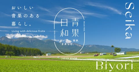 高級レストラン使用の野菜が届く人気のサブスク 青果日和 の 青果box って 価格や量をレポート