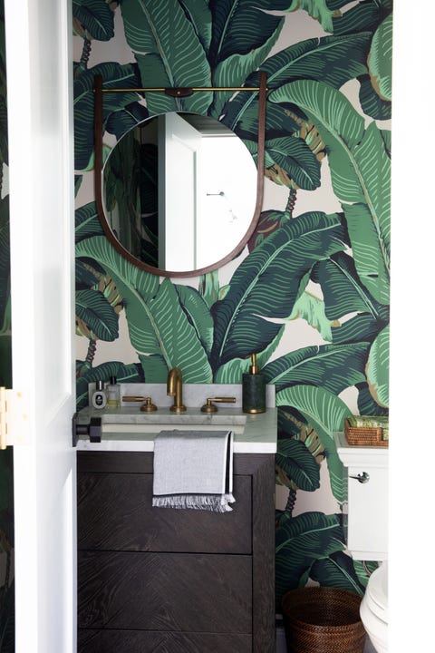 Green, Leaf, Plant, Room, Houseplant, Flower, 