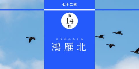 和の暦 清明 こうがんかえる 卯月4月10日 花楓とはどんな色 和の暦 清明 こうがんかえる 卯月4月10日 花楓とはどんな色