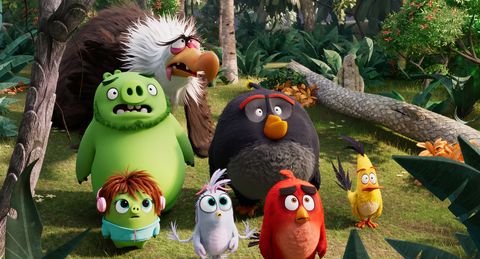 Sky Cinema for new animation channel with Angry Birds 2 and more