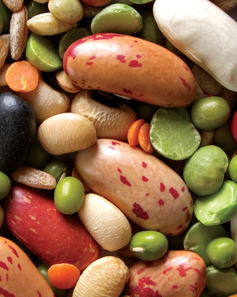 driedbeans legumes