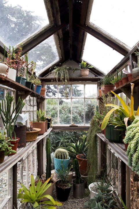 greenhouse layout inside