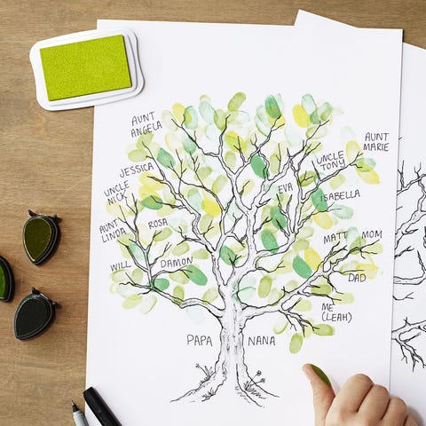 thanksgiving activity family tree