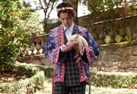 gucci harry styles cruise 2019 campaign