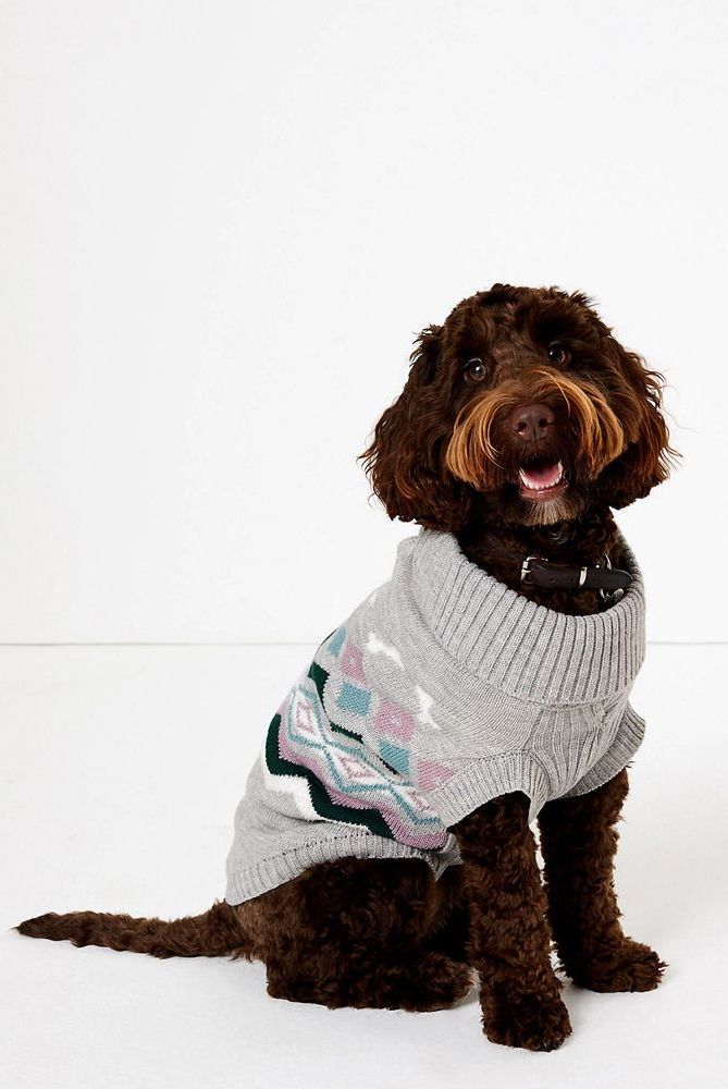 dog jumper marks and spencer