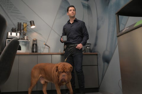 josh peck in 'turner and hooch'