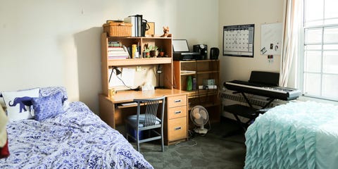 16 Best Dorm Room Transformations Of All Time Most Amazing