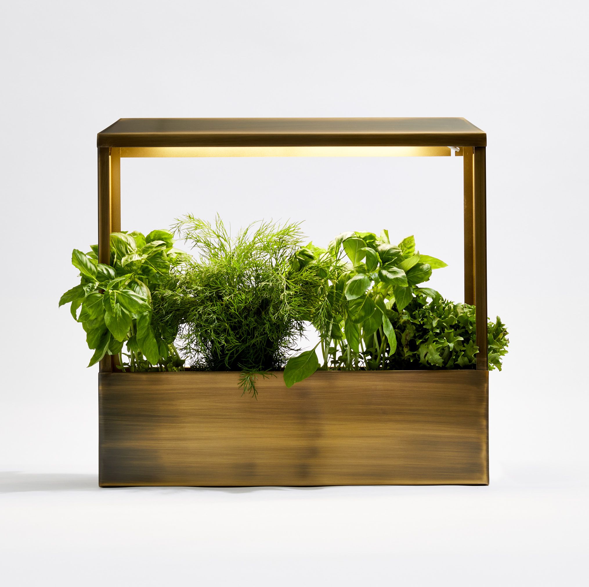 This Smart, Stylish Brass Growhouse Is Plant Person Catnip