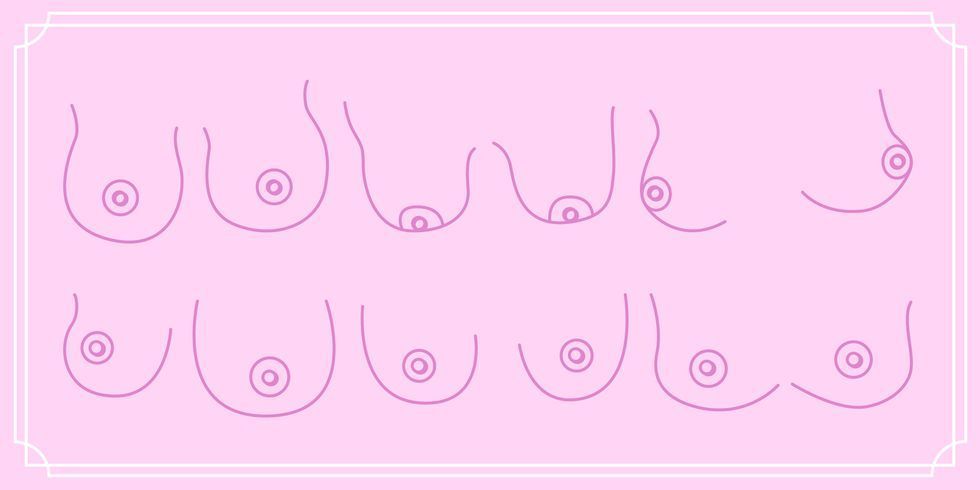 B Size Breast Chart