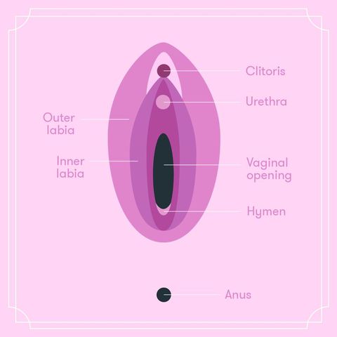 Black Pussy Diagram - Is My Vagina Normal? - Different Types of Vaginas