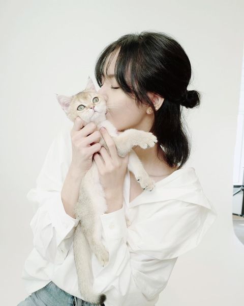 8月8日は世界猫の日 韓国セレブと愛猫の仲良しフォトギャラリー