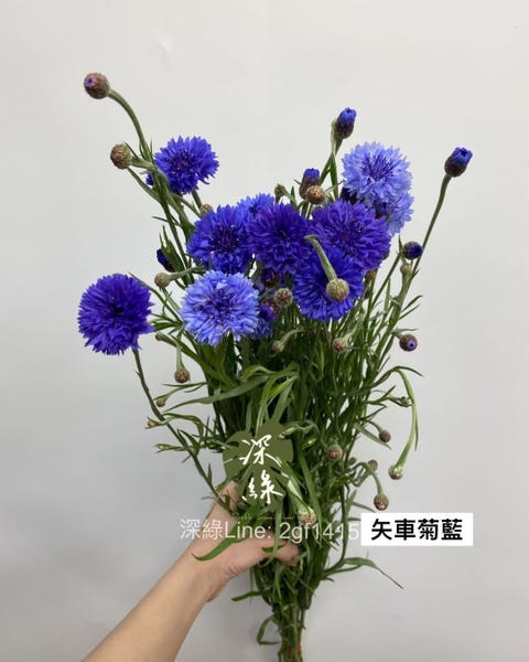 網路花店 推薦 10間 內湖花市 攤位網址 防疫花材 線上訂花 宅配總整理