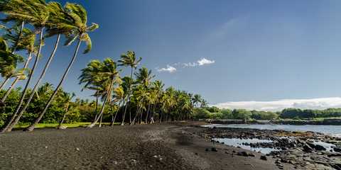 hawaii punaluu beach