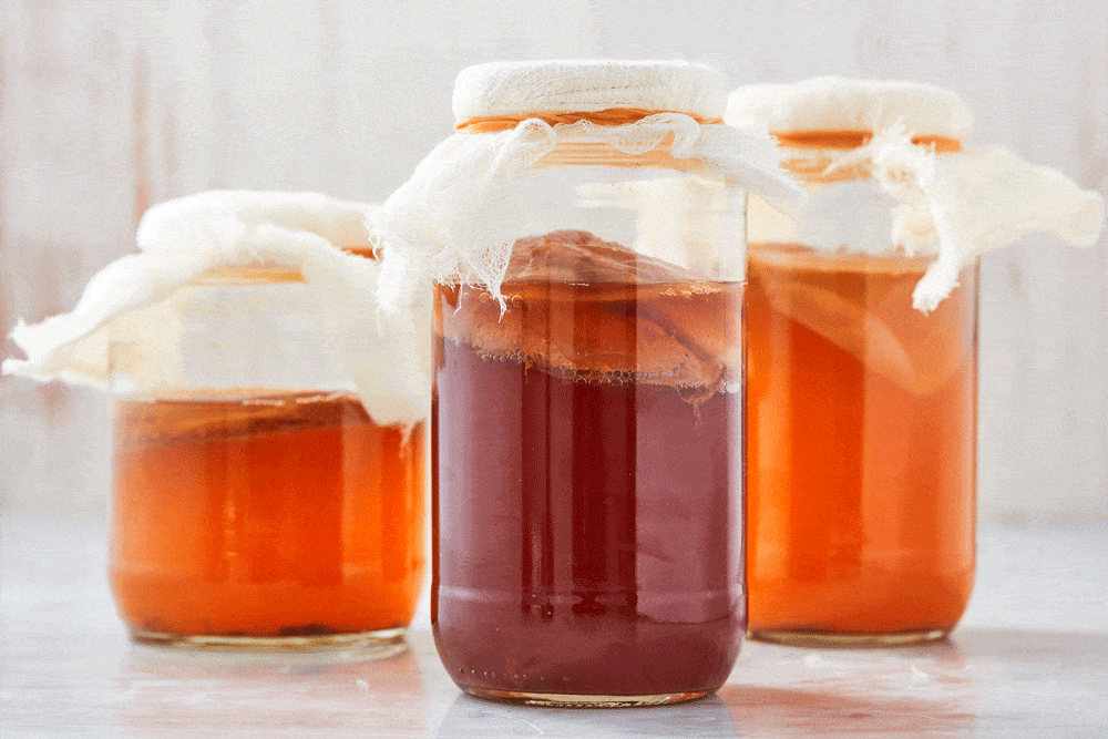 Best Kombucha Recipe - How To Make Kombucha