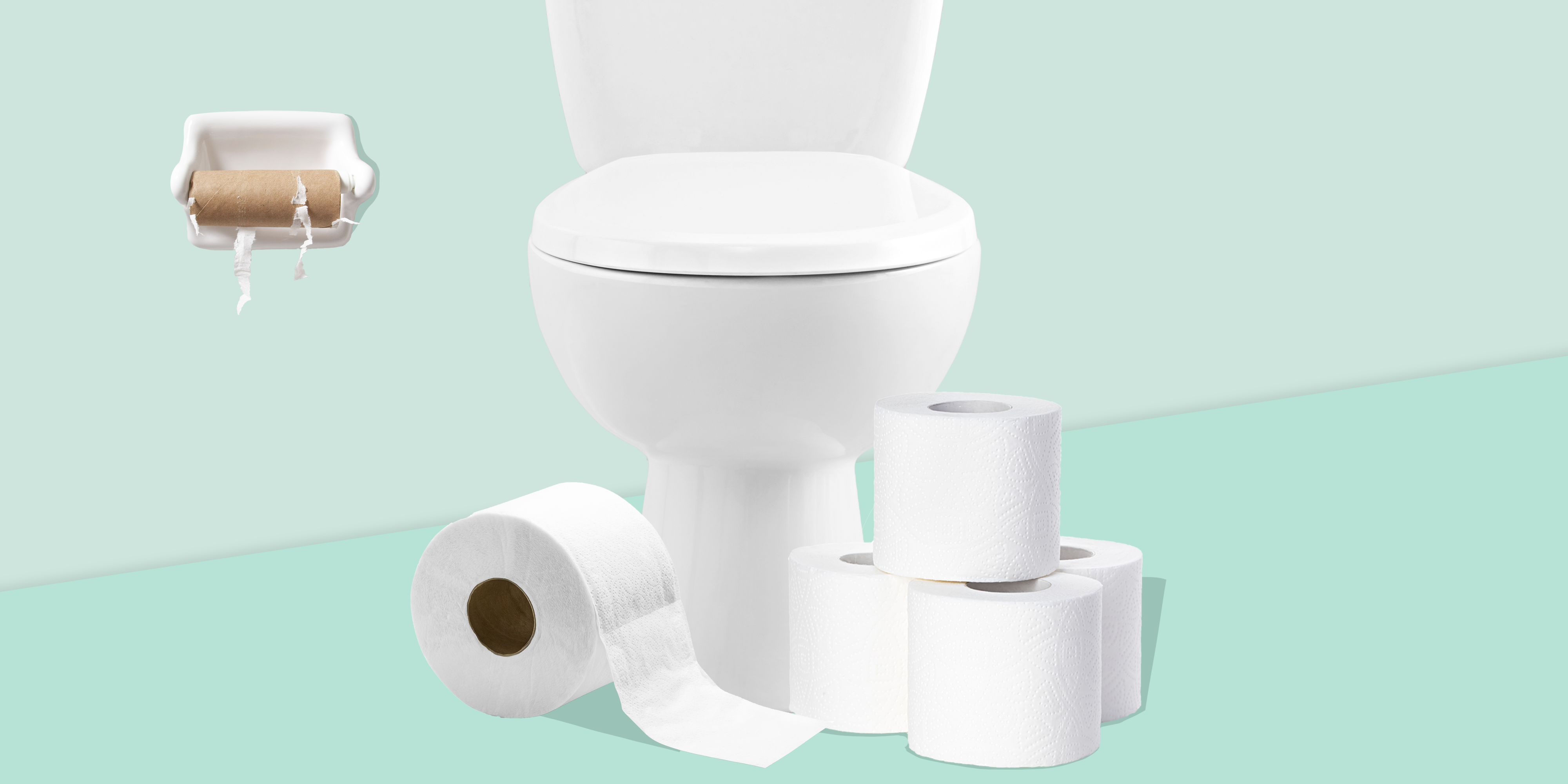 Toilet Paper Size Chart