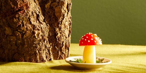 Mushroom, Sweetness, Still life, Food, Fungus, Plant, Fruit, Photography, Table, Still life photography, Mushroom, Sweetness, Still life, Food, Fungus, Plant, Fruit, Photography, Table, Still life photography,