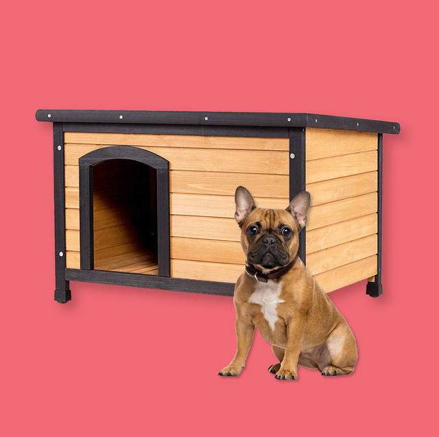 10 Best Insulated Dog Houses to Keep Your Pet Cozy in Chillier Weather