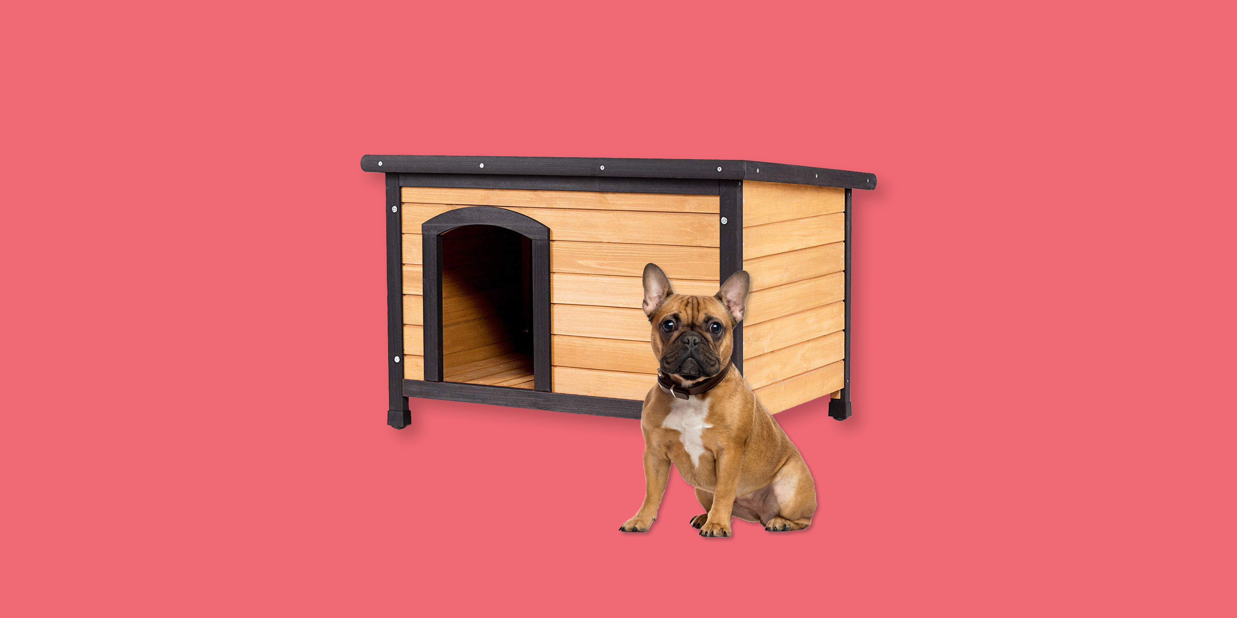 Do Insulated Dog Houses Work