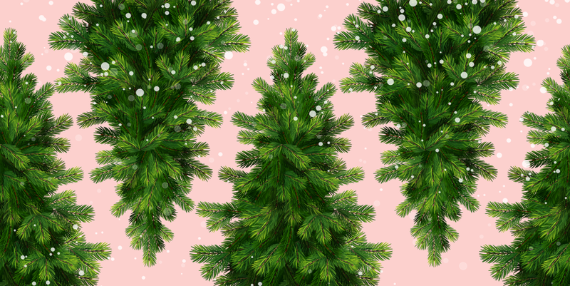 Christmas Trees Natural Green with Box available various heights and Quality 